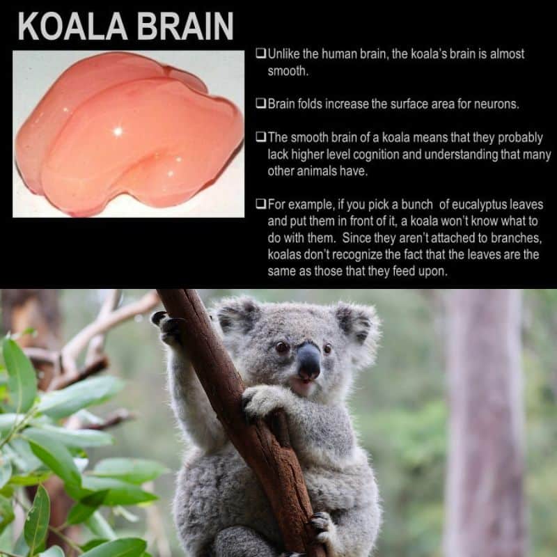 These Unexplainable Photos Prove That Things Aren’t Always as They Seem