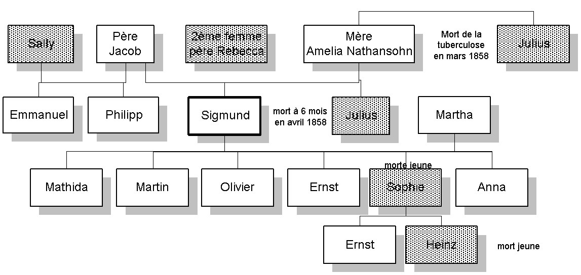Les 3 dynamiques familiales de Sigmund Freud Comment être en paix