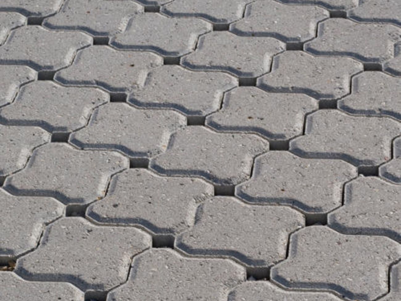 Pavers Construct India