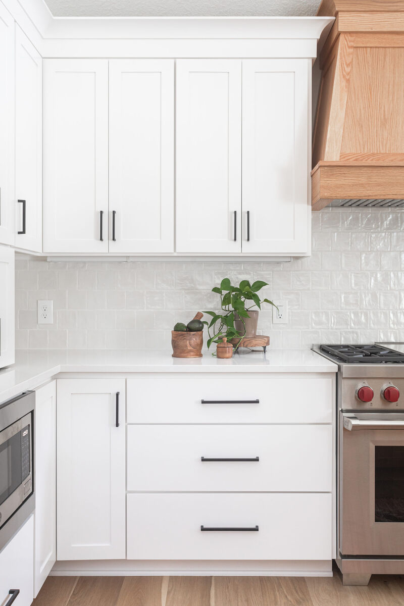 Hidden Oaks Home Champlin, MN Construction2style