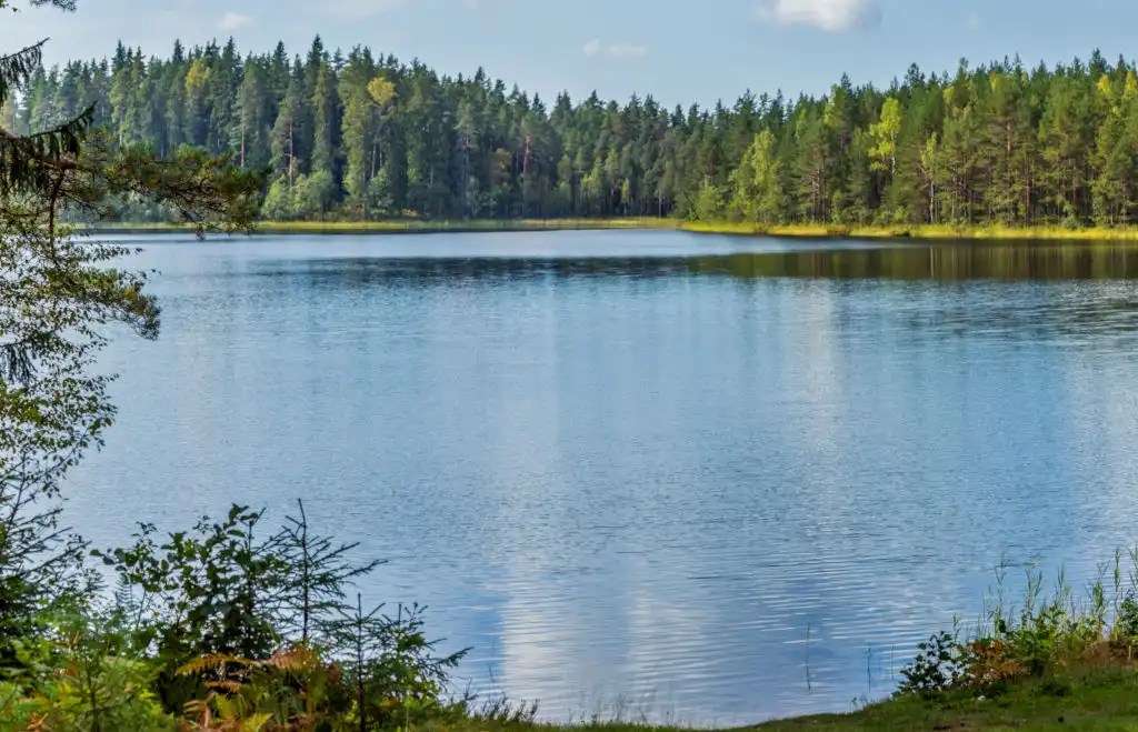 Terrains a vendre bord de l'eau, terrain boisé, Laurentides
