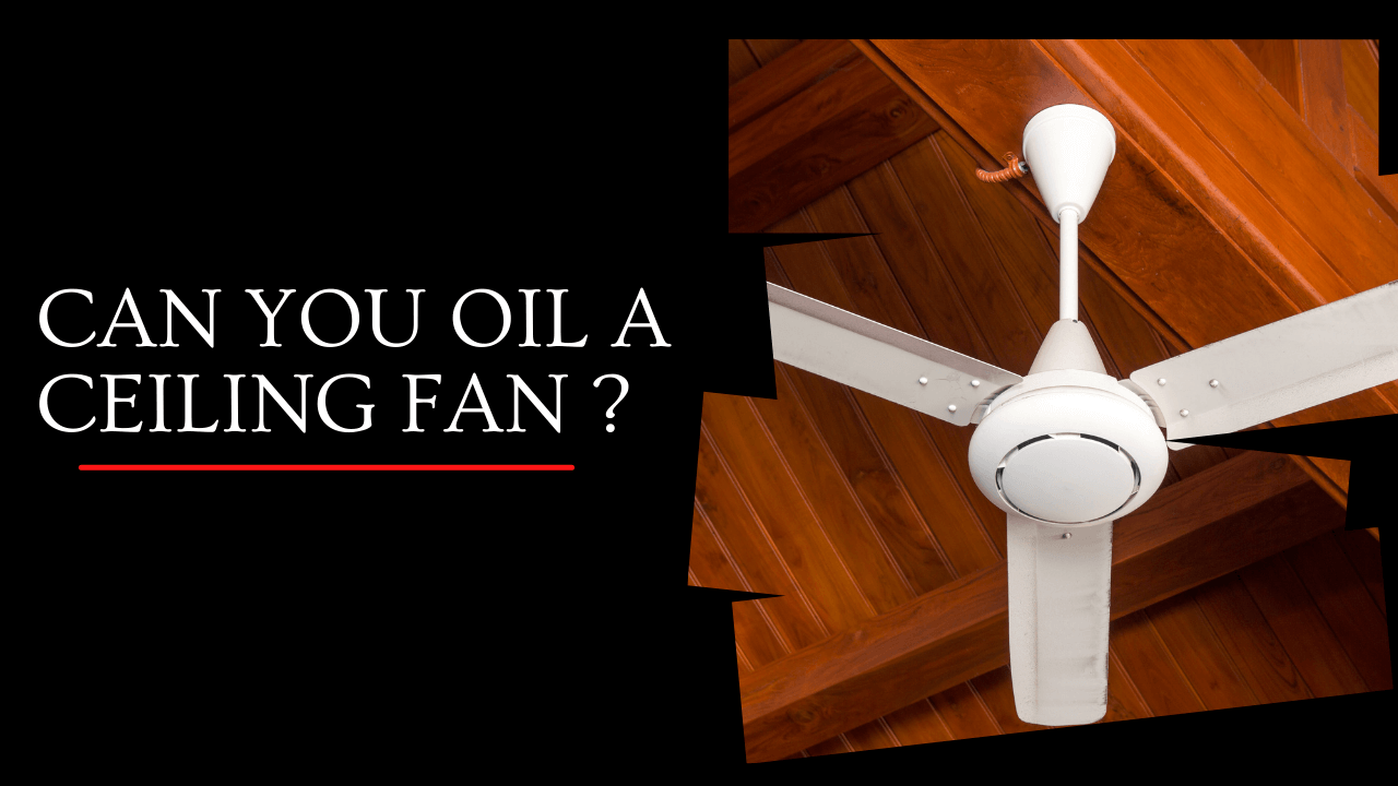 Can You Oil A Ceiling Fan? Construction How