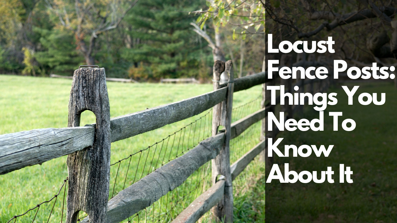 Locust Fence Posts Things You Need To Know About It Construction How