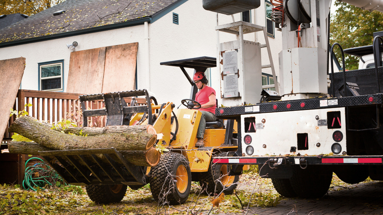 When To Call A Professional Emergency Tree Removal Service In CT