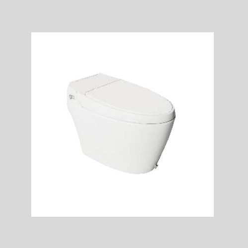 Buy Starwhite Water Closets Online at Low Price Order Now