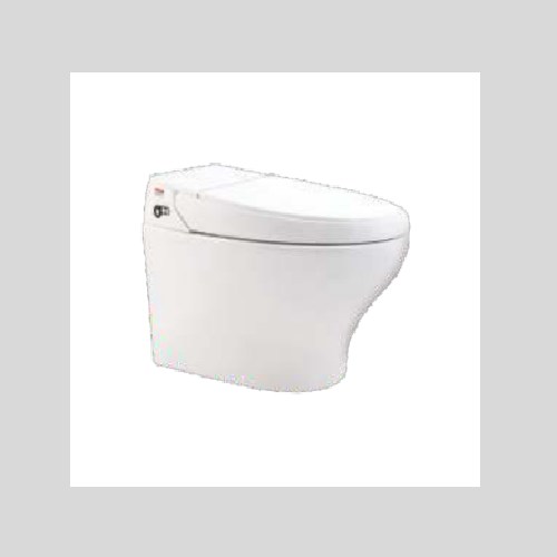 Buy Starwhite Water Closets Online at Low Price Order Now