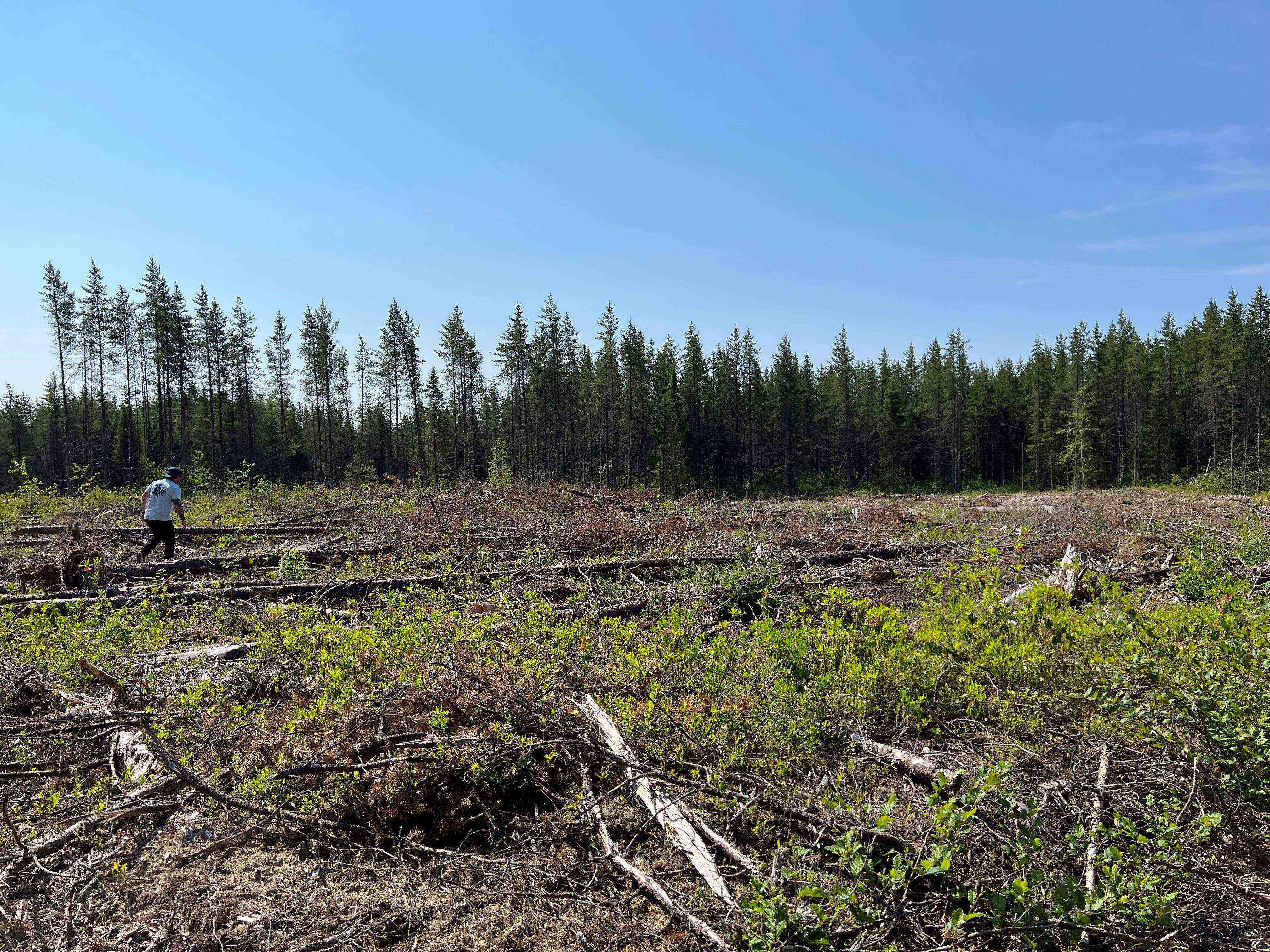 OujeBougoumou Cree Nation New Ecocentre Réalisations