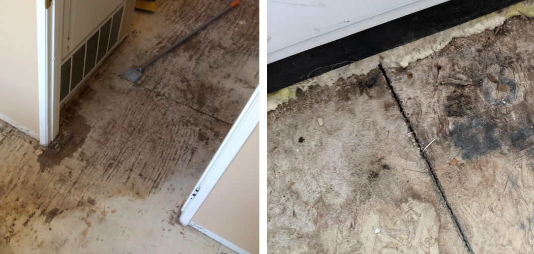 How to Fix Water Damaged Subfloor 4 Step Guidelines (2024)
