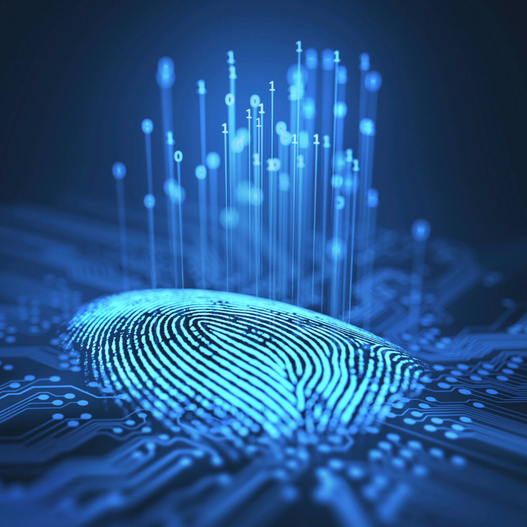 Difference Between Fingerprint And Name Based Background Checks