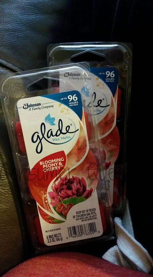 Dollar General Glade Wax Melts 1.37 TODAY ONLY!
