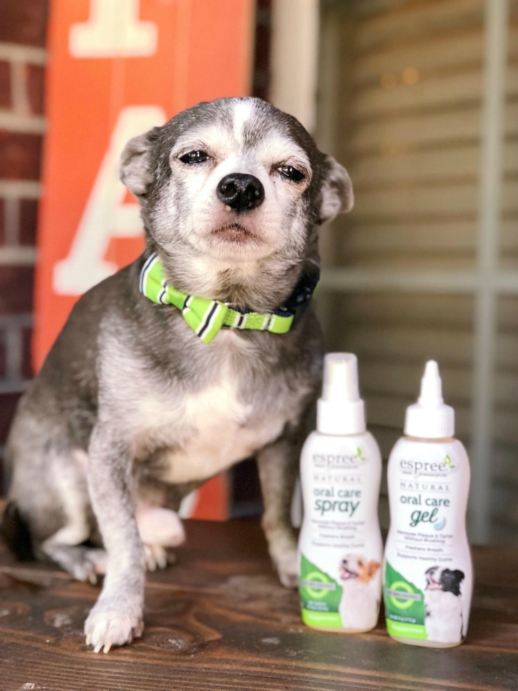 New! Introducing Espree® Natural Oral Care for Dogs and Cats