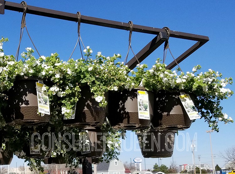 Hanging Flower Baskets 5, Preen Mulch 2.50 + More at Lowes
