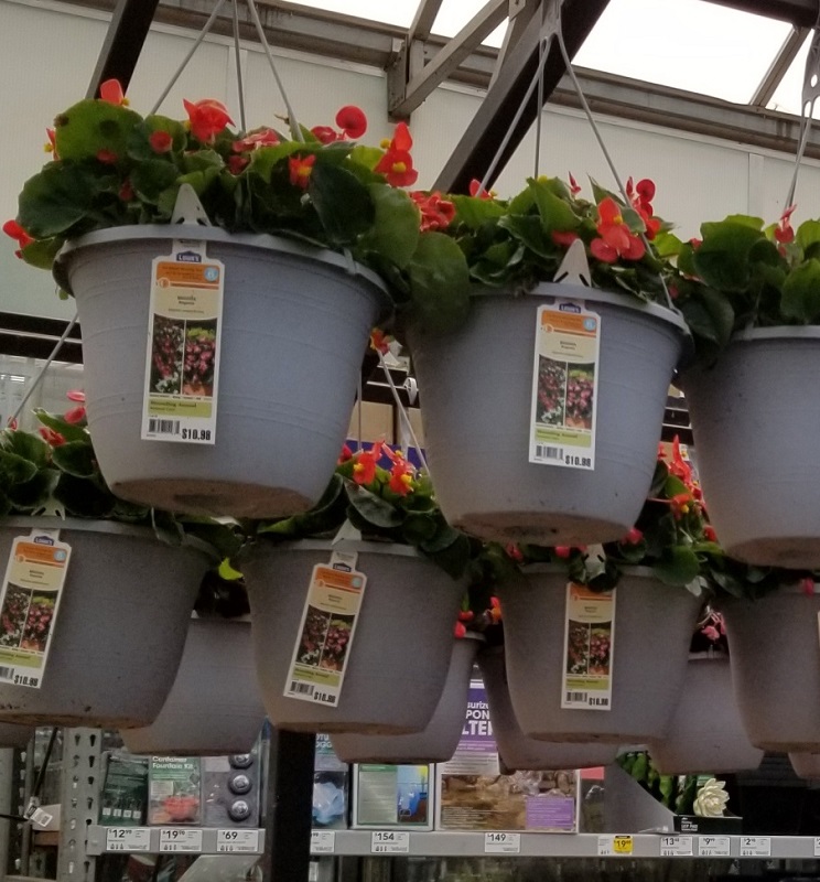 Lowe's Springfest Sale 7.50 Hanging Flower Baskets & More