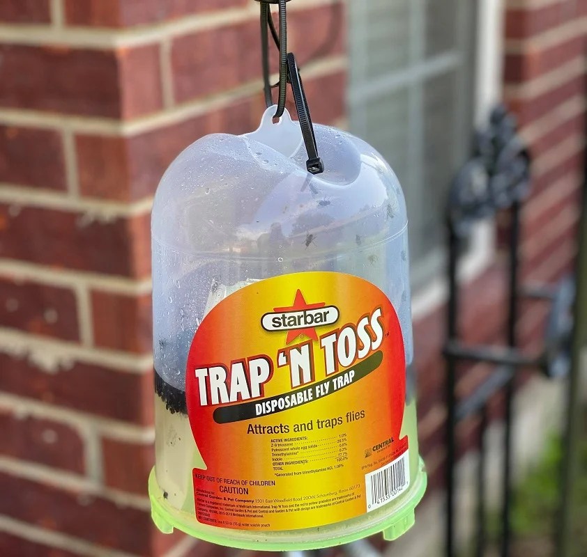 Disposable Fly Trap Only 6.99 It Really Does Work!