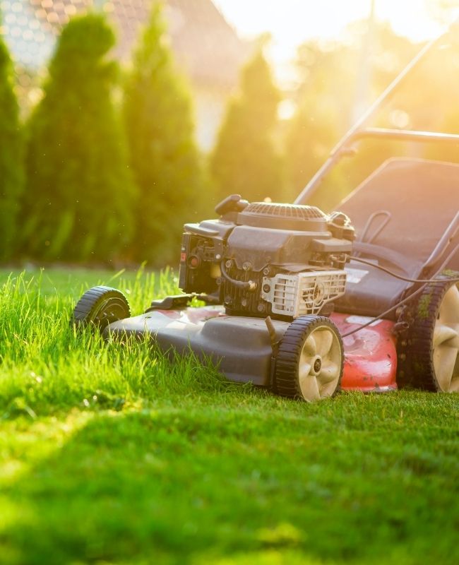 5 Ways to Keep Your Lawn Mower in Check Sears PartsDirect Coupon