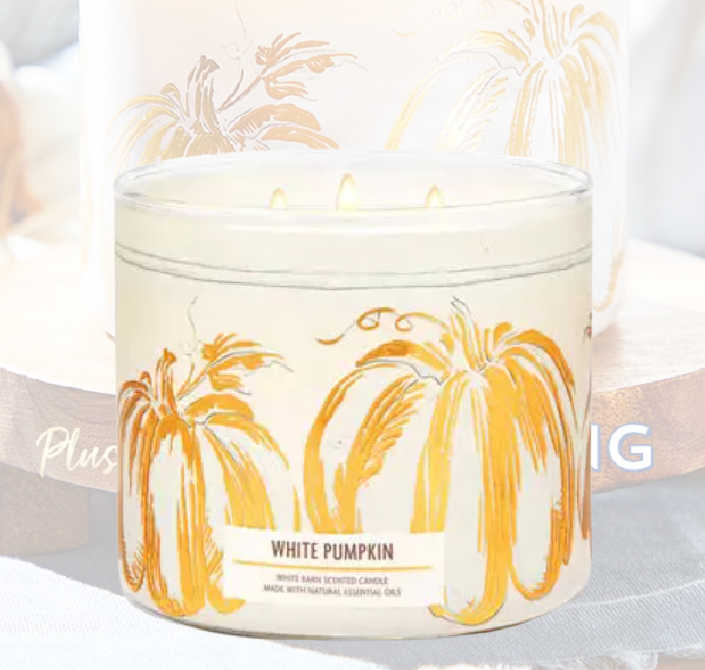 FREE 3 Wick Candle w/Purchase + Free Shipping WYB 50!