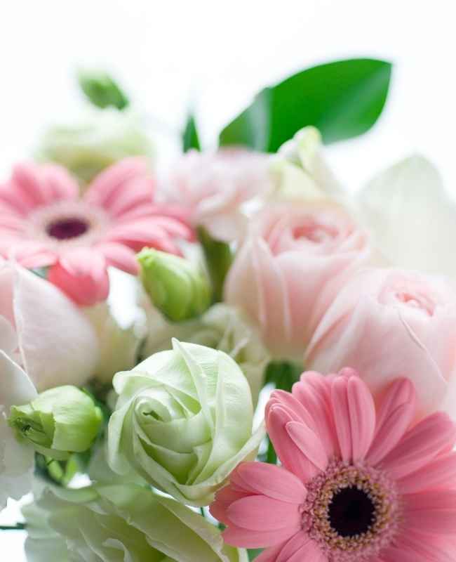 Why Fresh Flowers Are Still The Best Gifts Consumer Queen