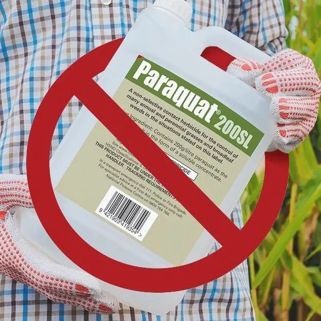 Paraquat Cancer