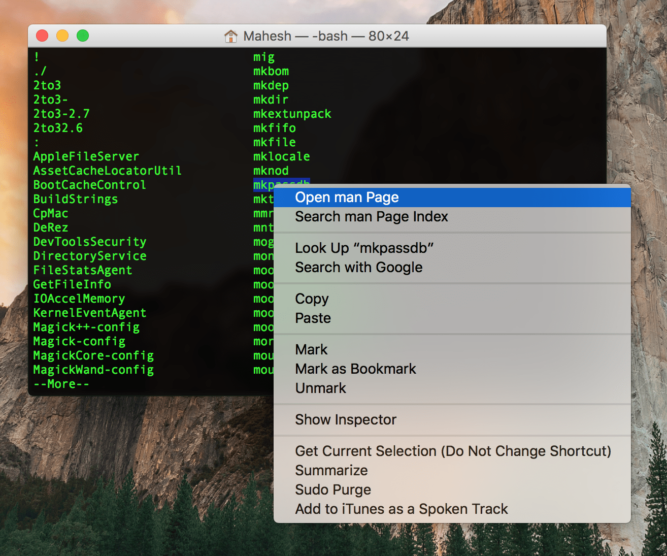 All mac terminal commands paserev