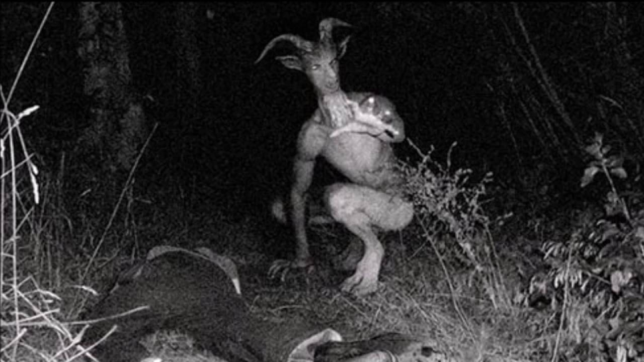 The Goatman of Maryland Not Just On The Holidays.