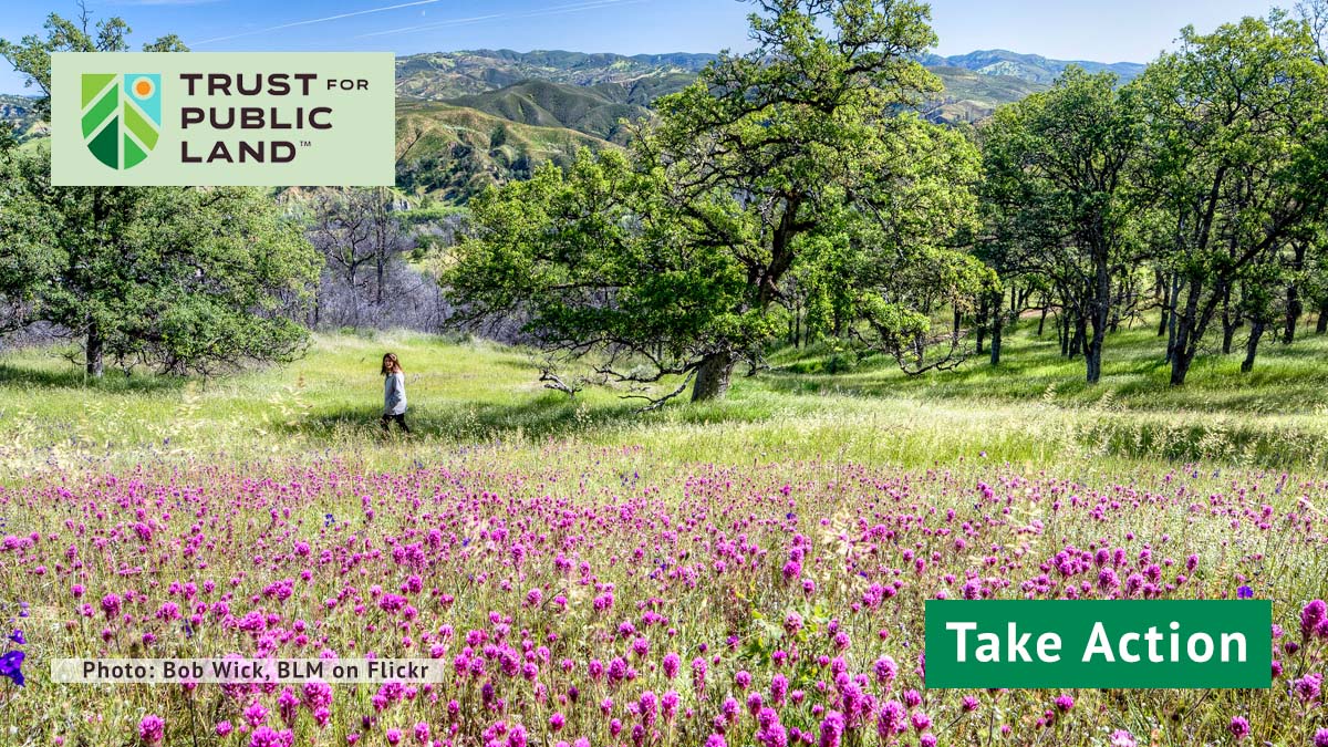 Take Action Archeological sites, rare habitat, and forests are Trust