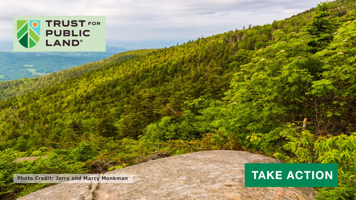 Our forests are at risk. Take action now! Trust for Public Land