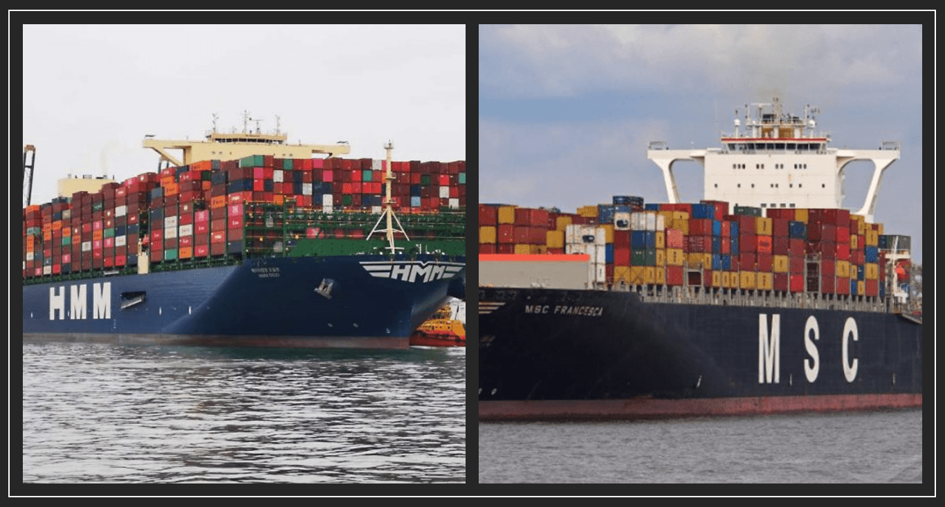 MSC entices HMM seafarers with high salary Container News