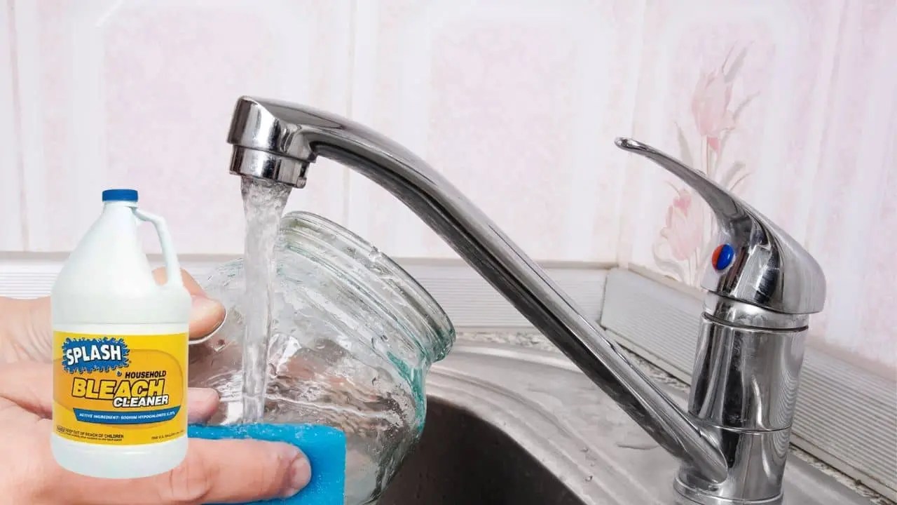 Does Glass Absorb Bleach? 5 Things You Should Know! Container FAQs