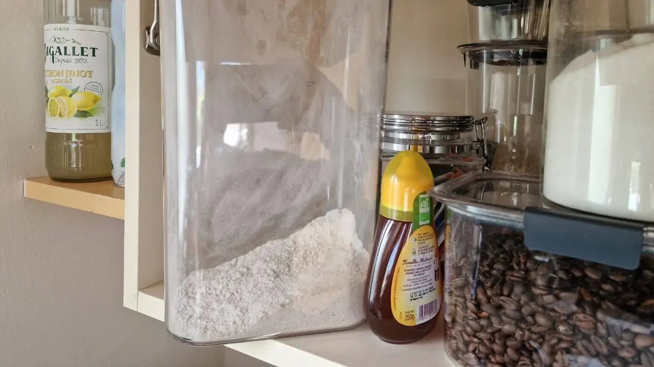 Which Is the Best Container to Keep Bugs Out of Flour (Must See!) Container FAQs