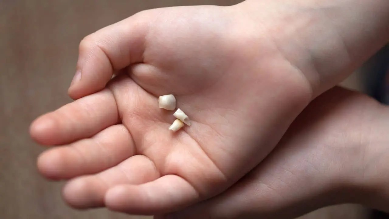 Don't Throw Away Those Baby Teeth! Here's How to Store Them Safely
