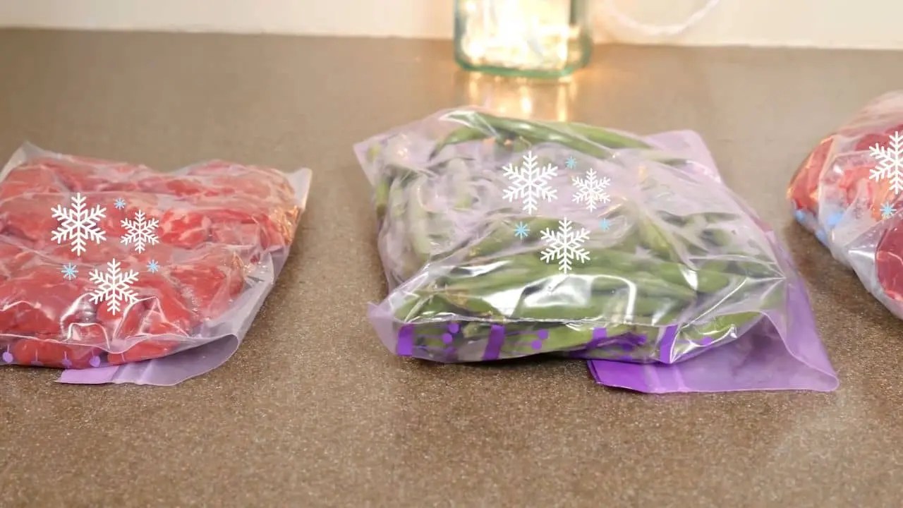 Can You Use Storage Bags For Freezing? 6 Helpful Tips