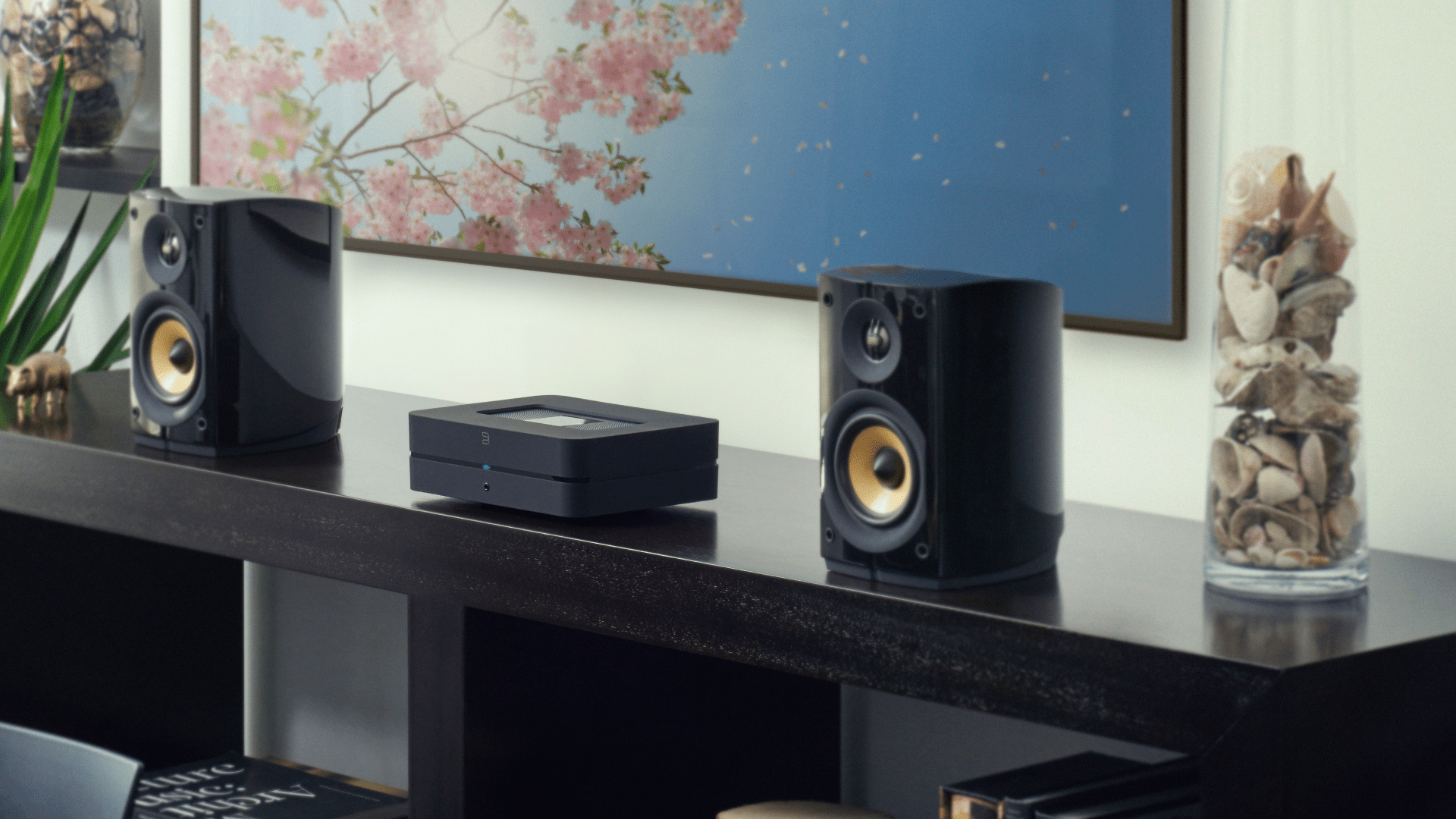 Powernode Surround Bluesound