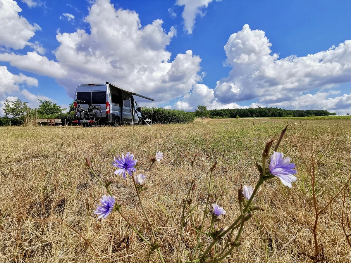 Camping & Wohnmobilstellplatz Fulda AlpacaCamping
