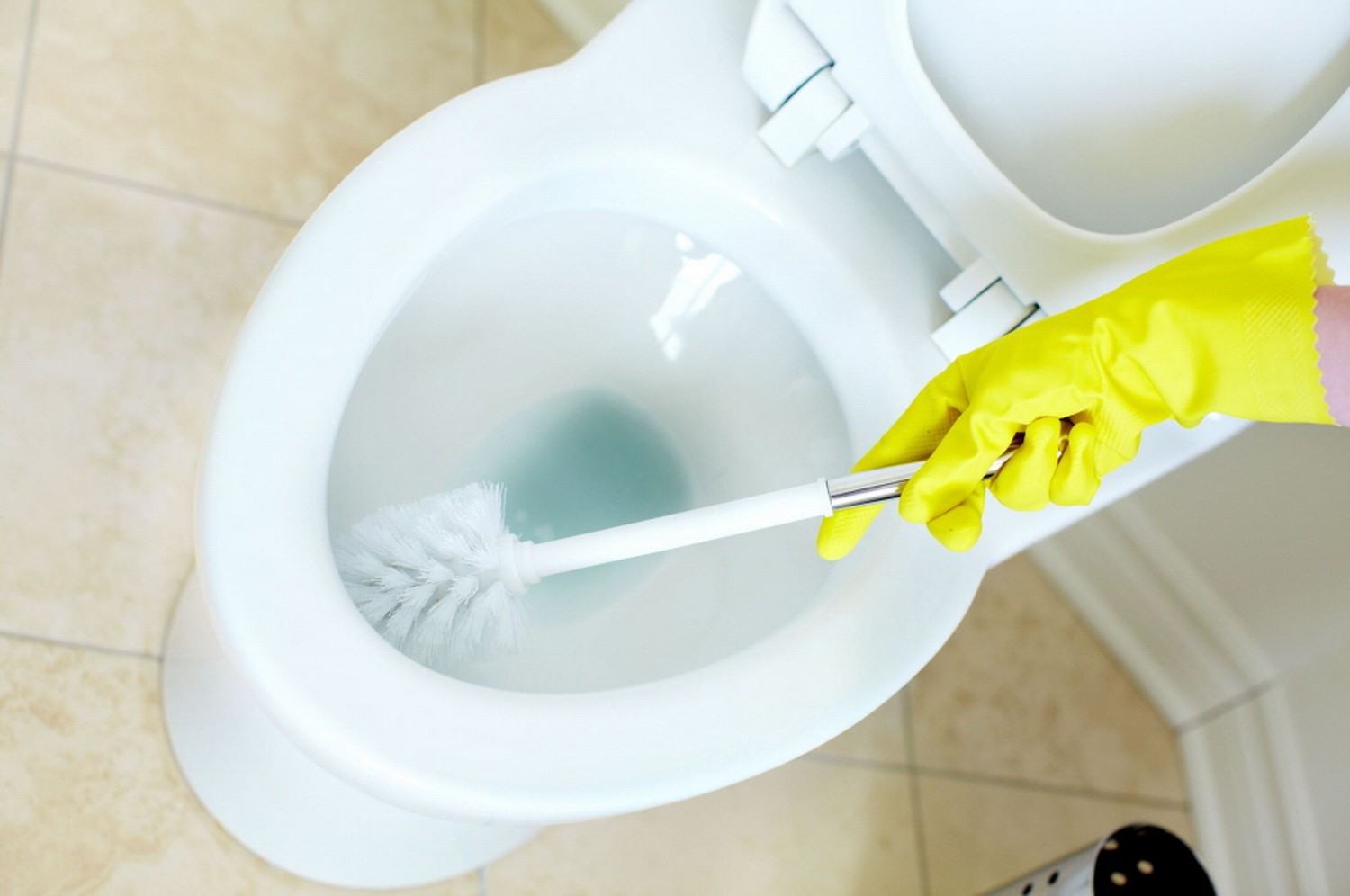 Do you clean your toilet with chlorine bleach? You won’t anymore after