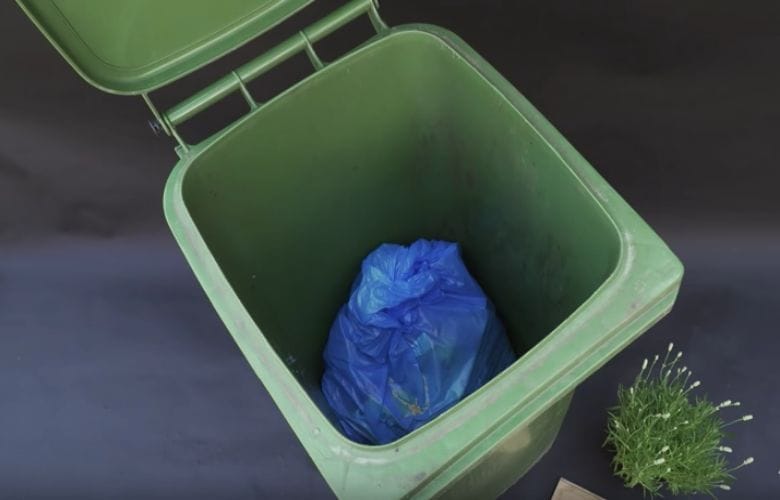 Cleaning your outdoor garbage can is necessary and it's high time to do it