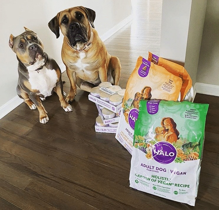 Halo Dog Food Review Good Or Bad?