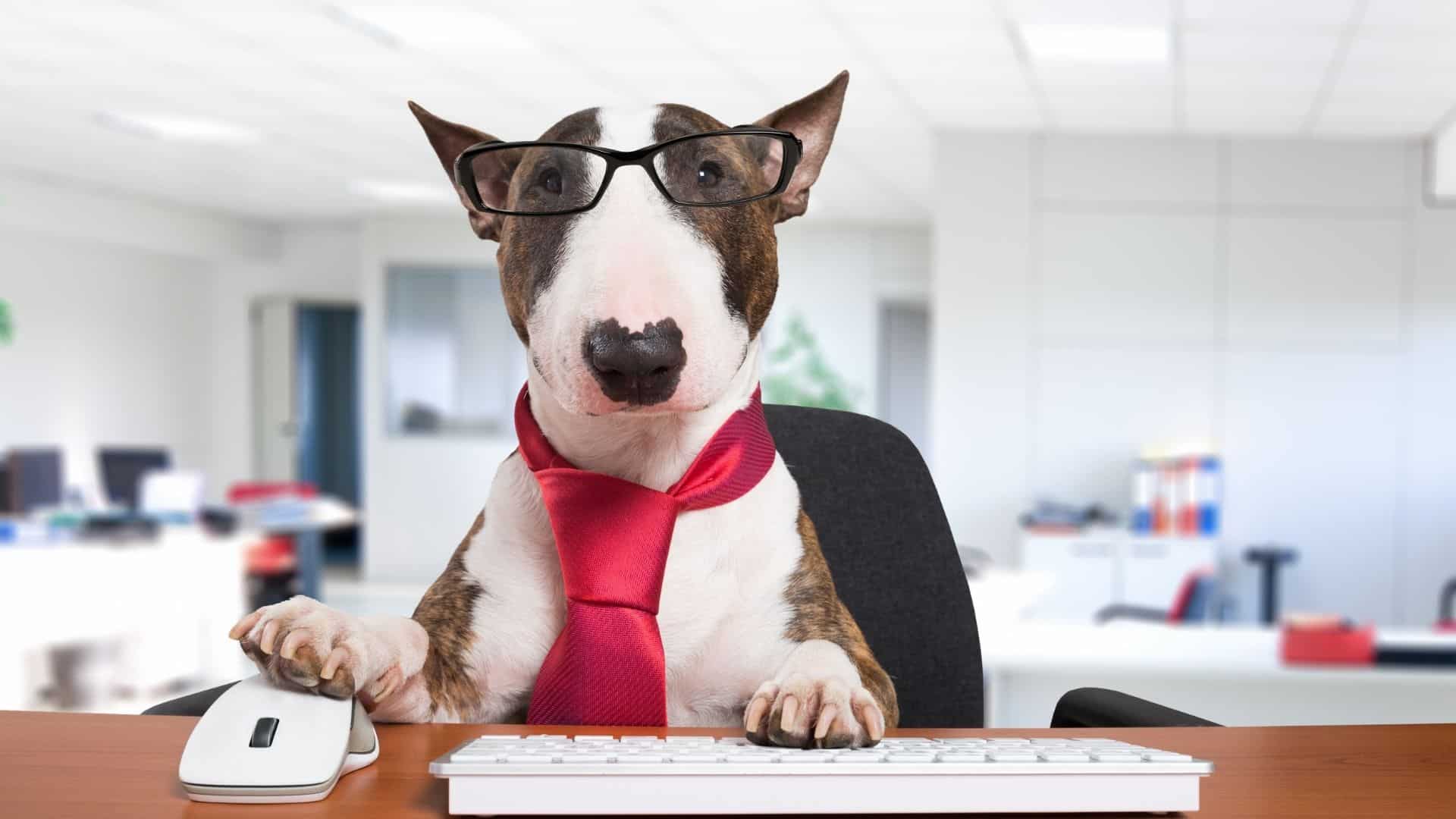 August 5 Is Work Like A Dog Day