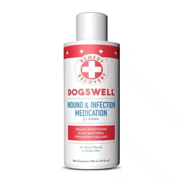 Best Antibiotic Ointment For Dogs Top Picks For Wound Healing Alpha Paw