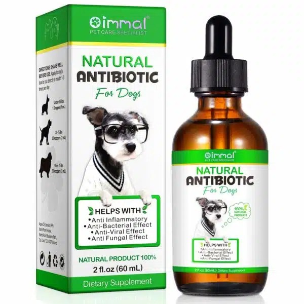 Best Antibiotic Ointment For Dogs Top Picks For Wound Healing Alpha Paw