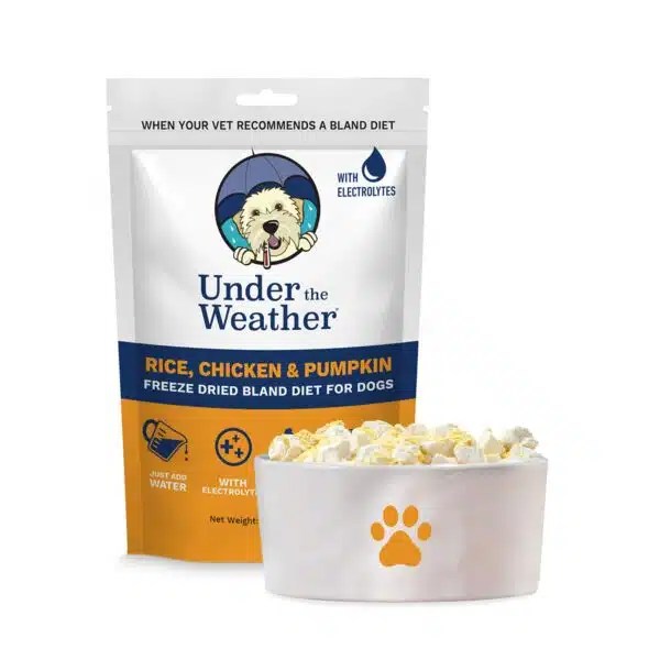 Best Food For Dogs With Diarrhea Expert Alpha Paw