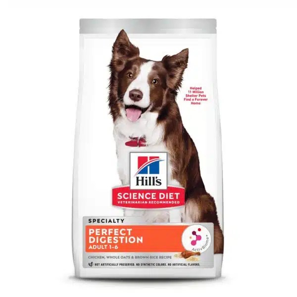 Best Food For Dogs With Diarrhea Expert Alpha Paw