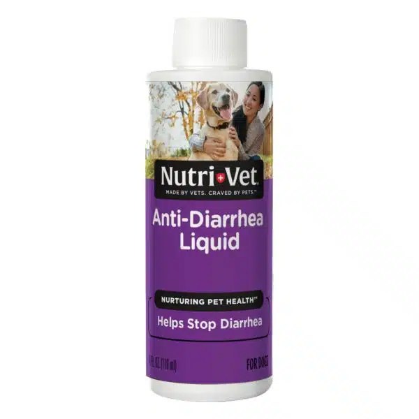 Best Food For Dogs With Diarrhea Expert Alpha Paw