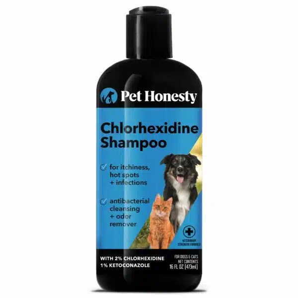 Best Shampoo For Dogs With Allergies Top 5 Hypoallergenic Options