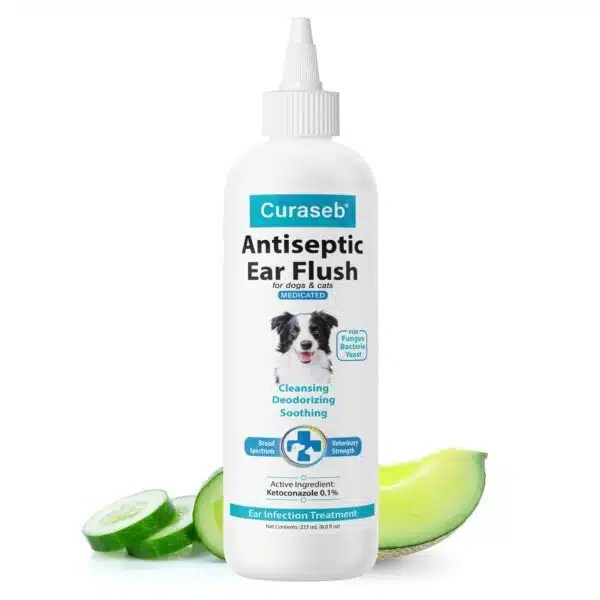 Best Ear Mite Treatment For Dogs Top 5 Effective Solutions Alpha Paw