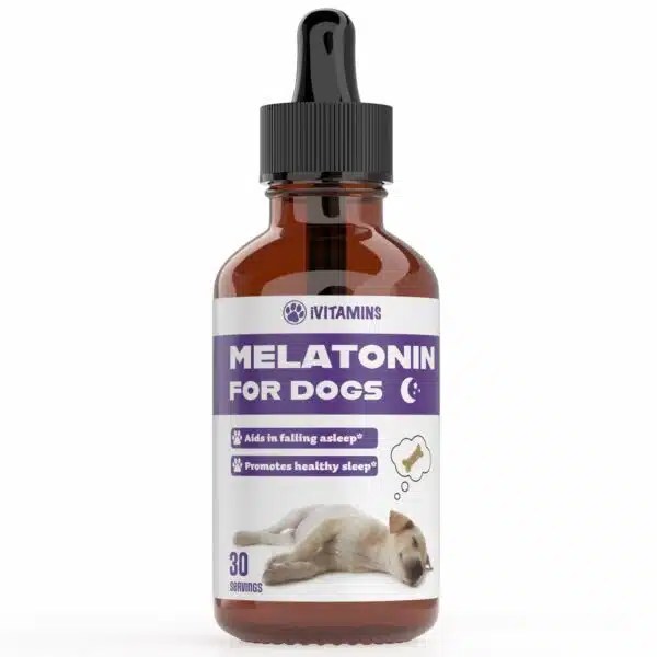 Best Melatonin For Dogs Top 5 Picks For Better Sleep Alpha Paw