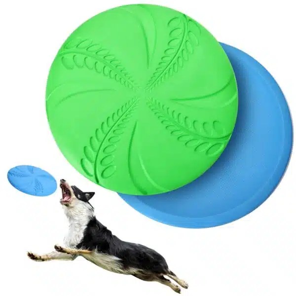 Best Frisbee For Dogs Top 5 Picks For Playful Pups Alpha Paw