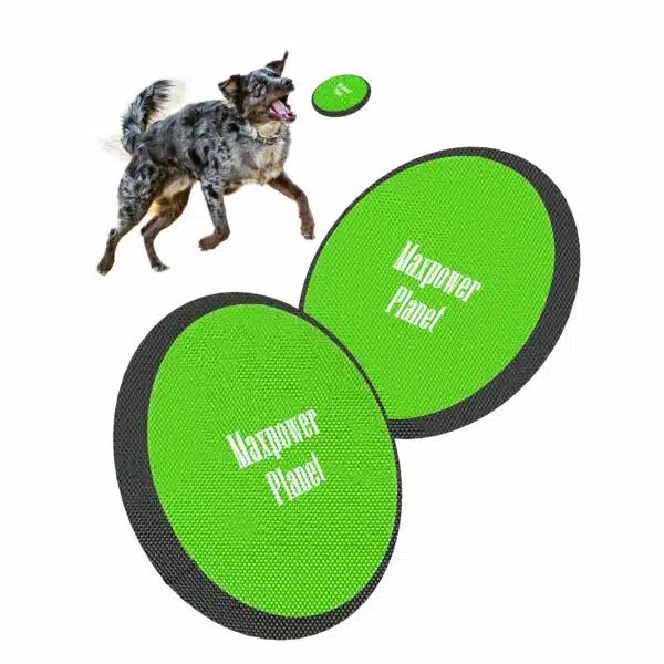 Best Frisbee For Dogs Top 5 Picks For Playful Pups Alpha Paw