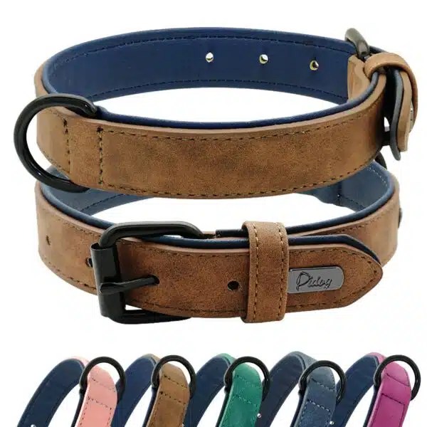 Best Dog Collars For Large Dogs Top Picks For Comfort And Durability