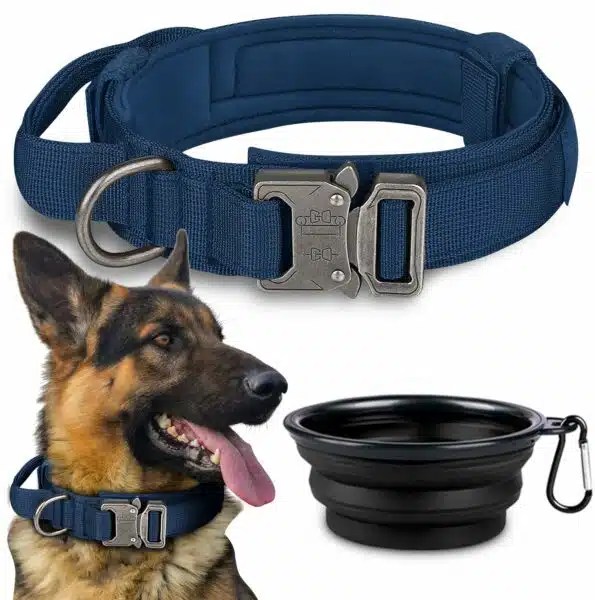 Best Dog Collars For Large Dogs Top Picks For Comfort And Durability