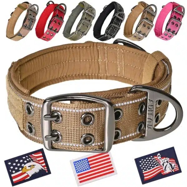 Best Dog Collars For Large Dogs Top Picks For Comfort And Durability